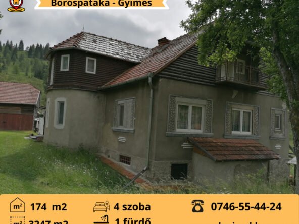 Casă de familie în Borospataka - 15